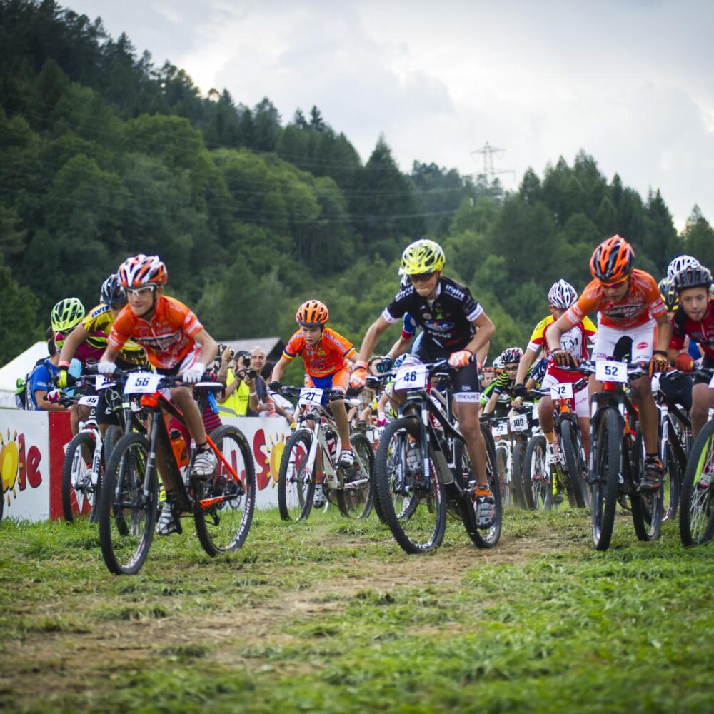 0276f8da-3ab4-407a-ad28-cc7246657c5b 0276f8da-3ab4-407a-ad28-cc7246657c5b