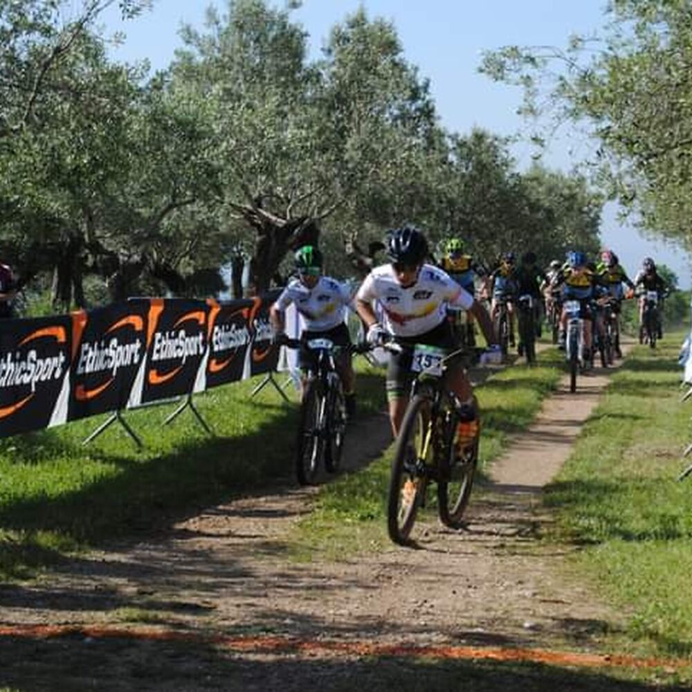 47d89fd4-bb24-4b2e-a918-67578b212b76