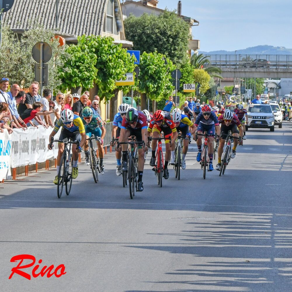 6d6a4b57-58c6-40e6-9da2-f8842eab4f82 6d6a4b57-58c6-40e6-9da2-f8842eab4f82