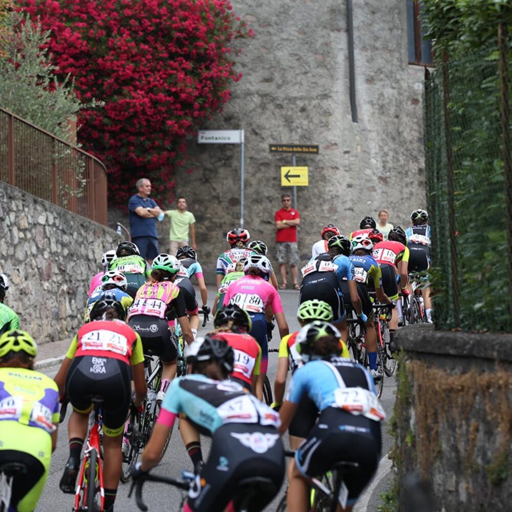 7f7fabc7-ac8f-4b8b-bc34-63b076fda157