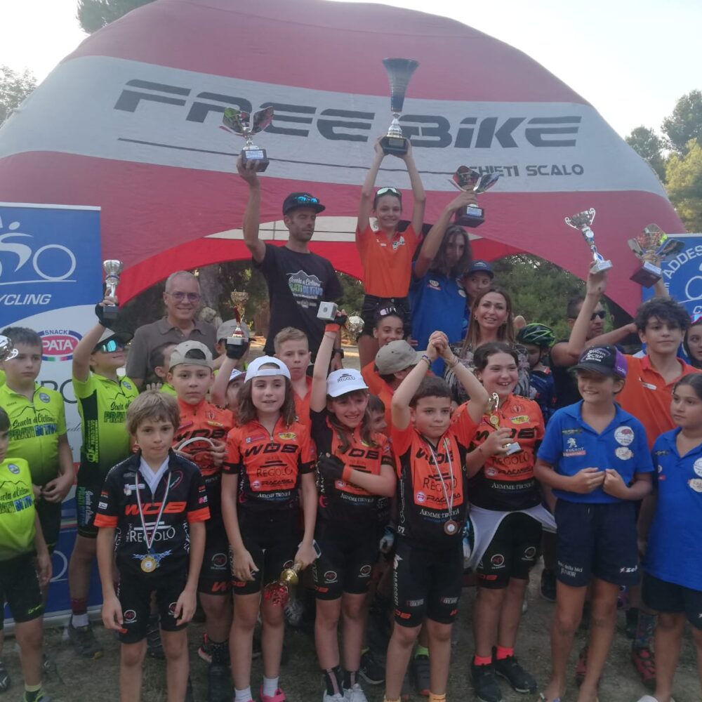 b4e0d38d-07c5-4295-8c5c-6b15eec2c80a b4e0d38d-07c5-4295-8c5c-6b15eec2c80a