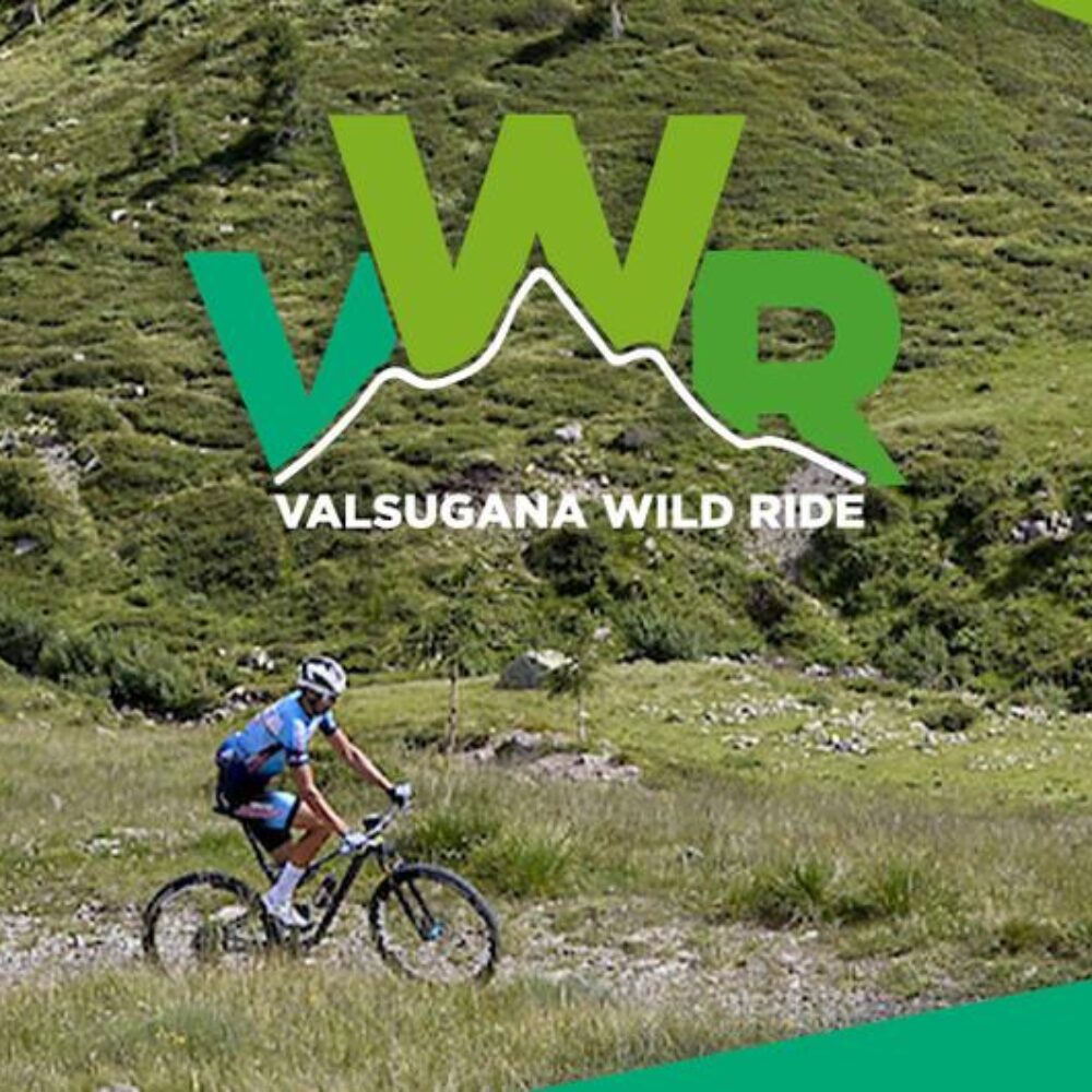 bfa51c1f-a9d5-46a2-a5b4-0b9ec084dbc0