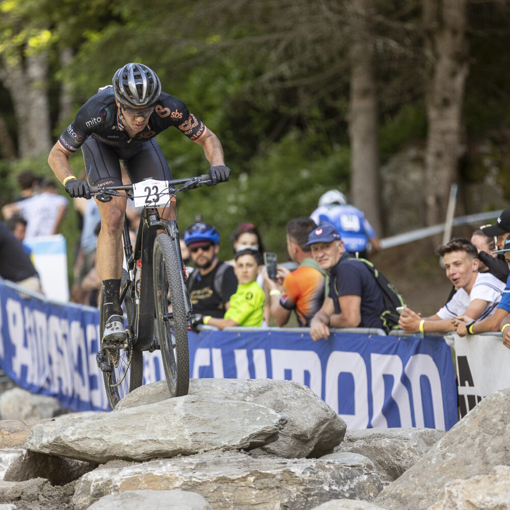 c0d4887b-eaea-41b5-a541-d8aa3f7e87dd