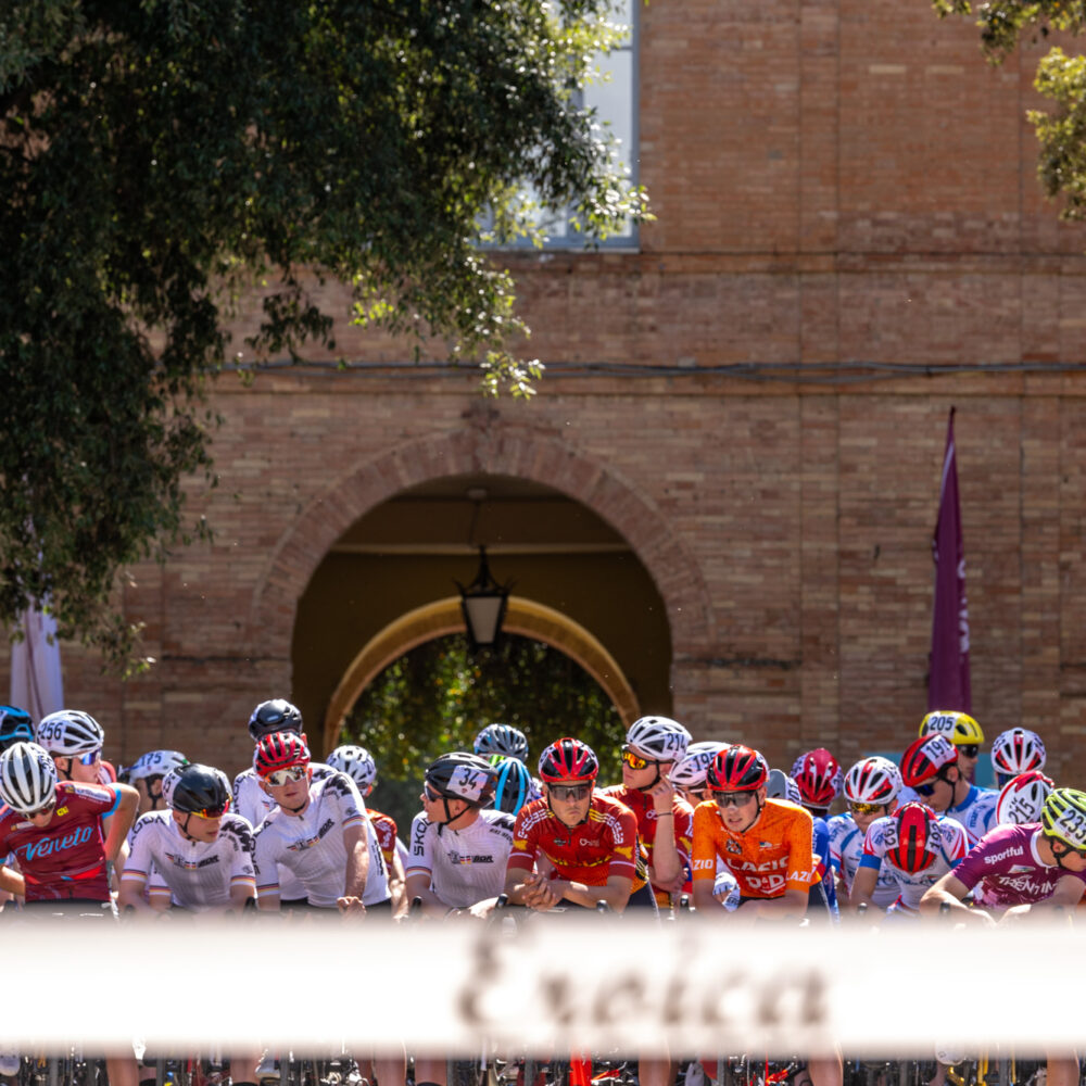 07a85370-2fdf-4367-b6aa-cf43ae1baac1