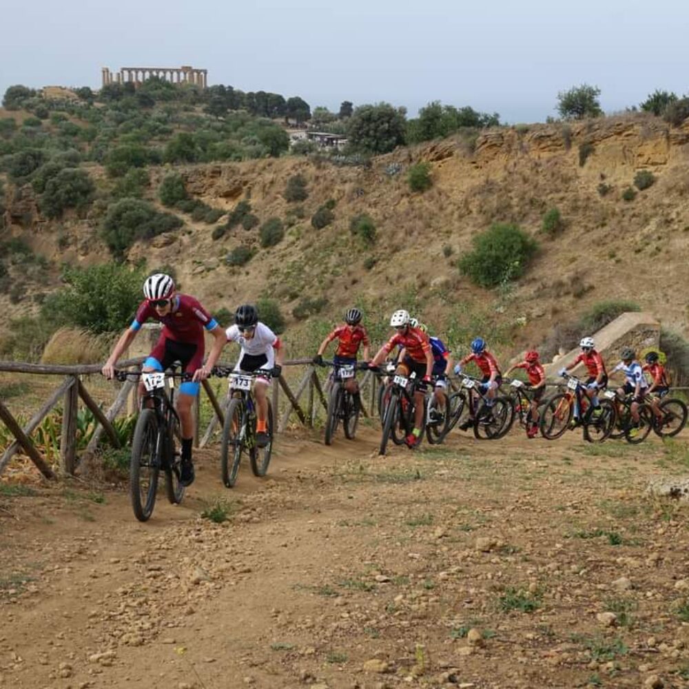 1255b08b-6622-47de-8398-672bc28f0376