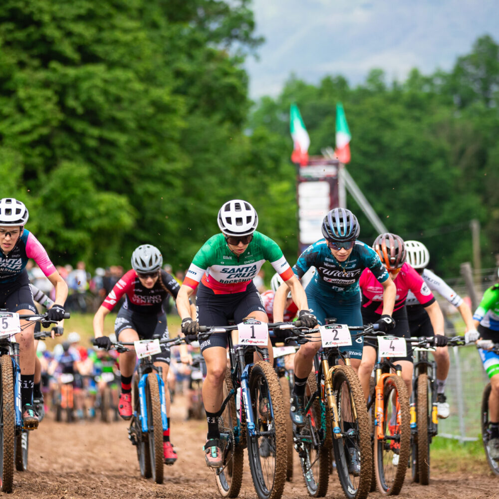 20f51694-e0c6-4dfd-abe6-c7fe96b9c2f1