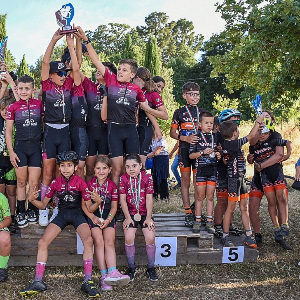 274177b3-a544-4f4e-80a1-3ec3897a25b5