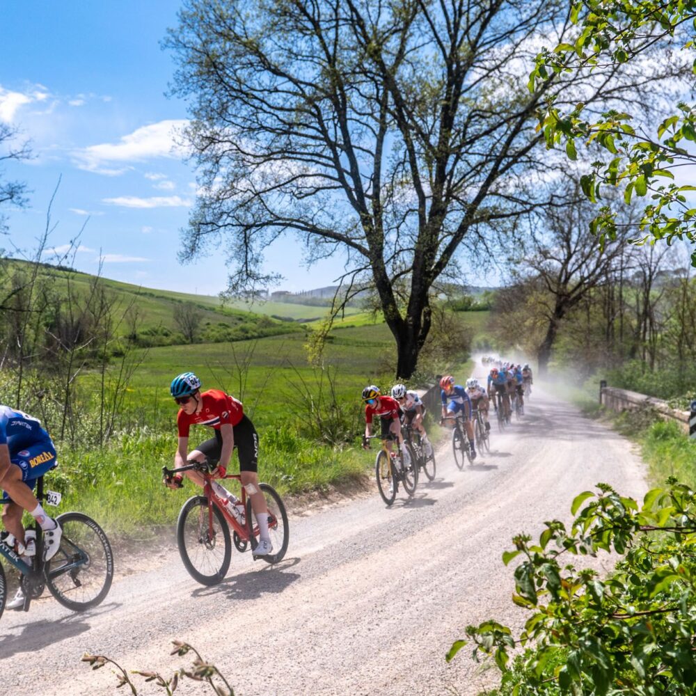 36990de9-a743-4a8f-a8d2-10a532311f96