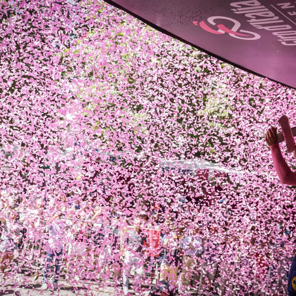 538ce9a3-1a36-4859-af38-a7ba8bd31300