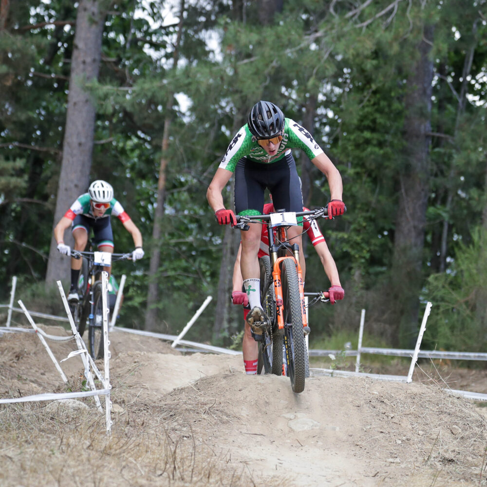 Newspower.it Trento www.newspower.it