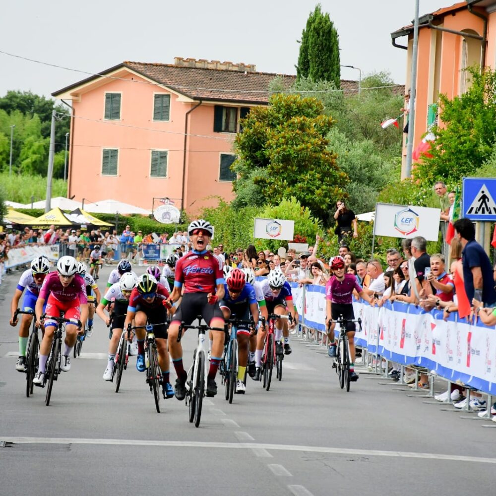 7c0ad9d2-40c2-450c-89a2-5c4446a333ad