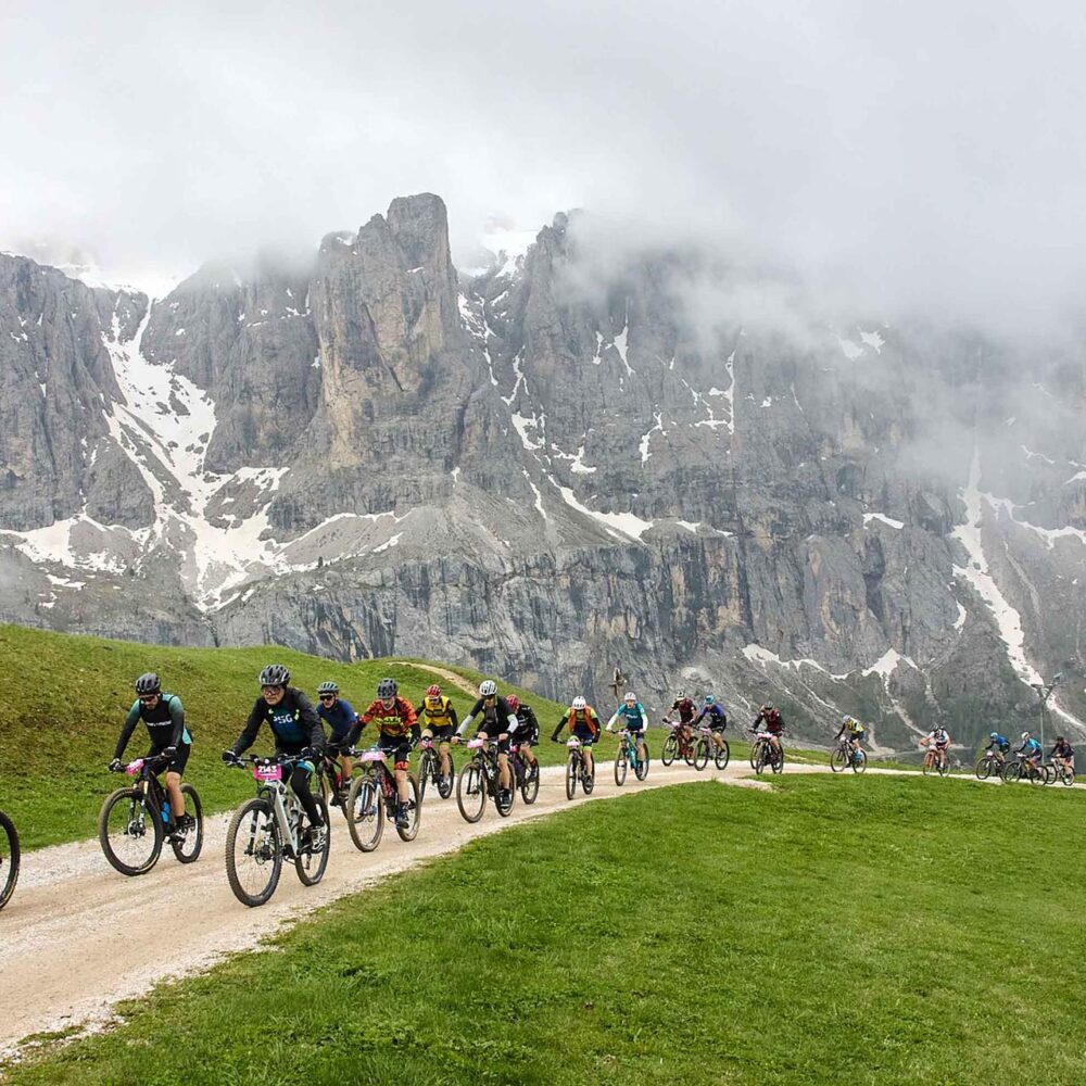 86b7a5dd-0503-401b-99e3-340926c14791