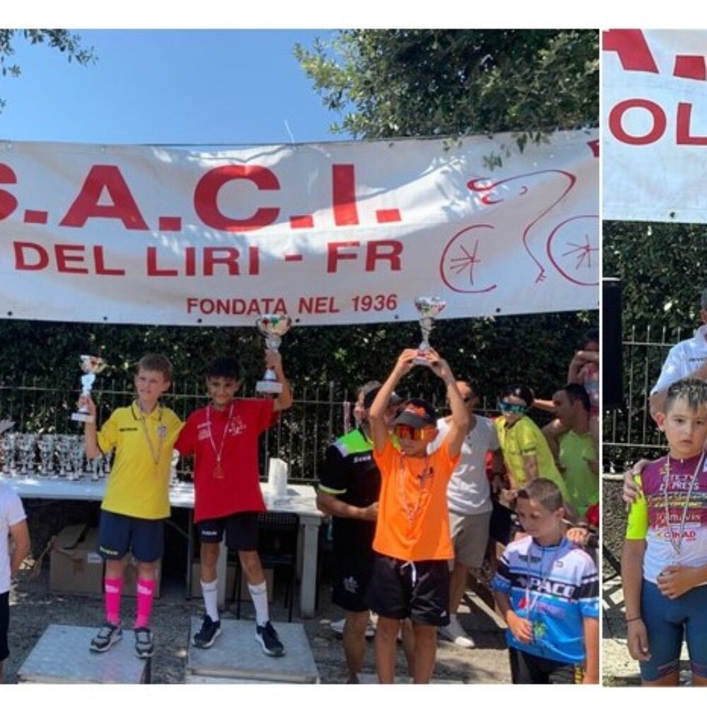 8b561ae1-7a84-4b6f-b657-03574cdb3fb6