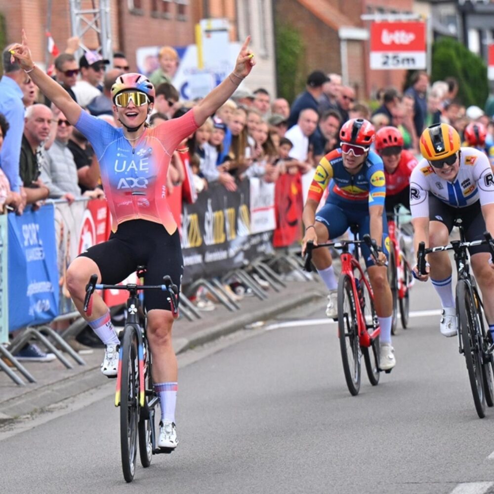 99501e54-e24f-4283-91f1-58695ca4e742 99501e54-e24f-4283-91f1-58695ca4e742