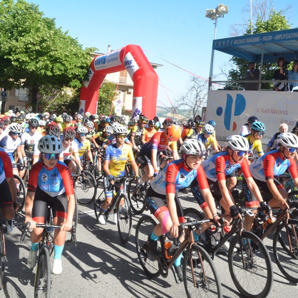 ae7b7d79-01b3-4a29-b19a-ad88ebc612ad