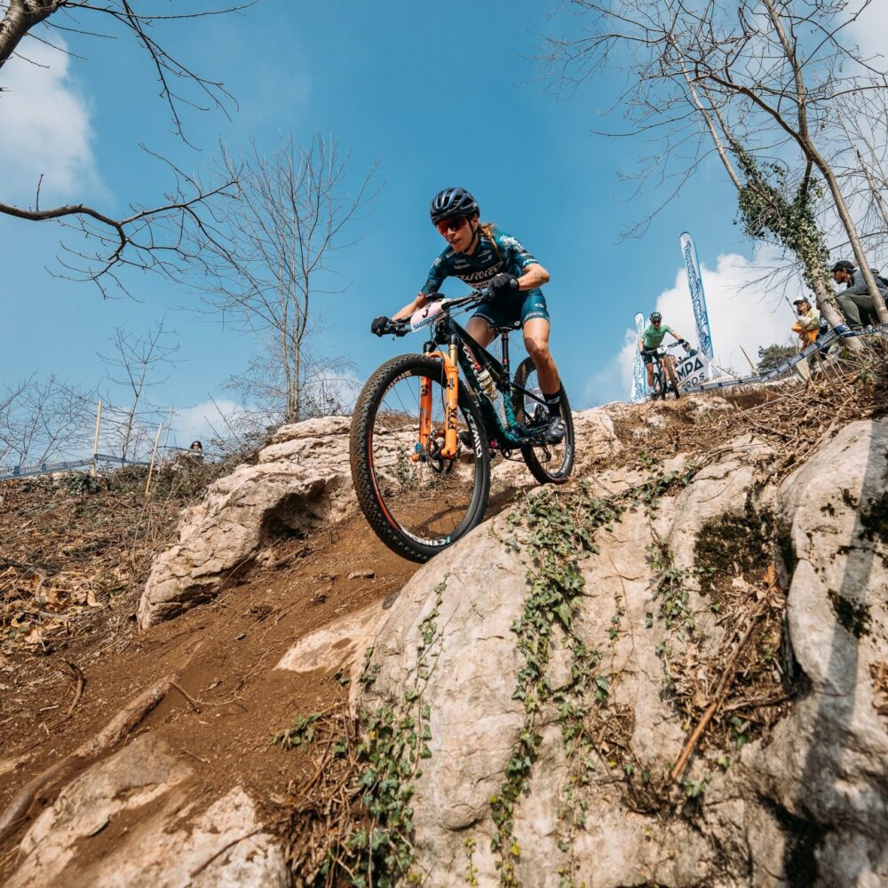 bb5d9dfd-8d24-4a18-82d9-853f3f6ff9b5