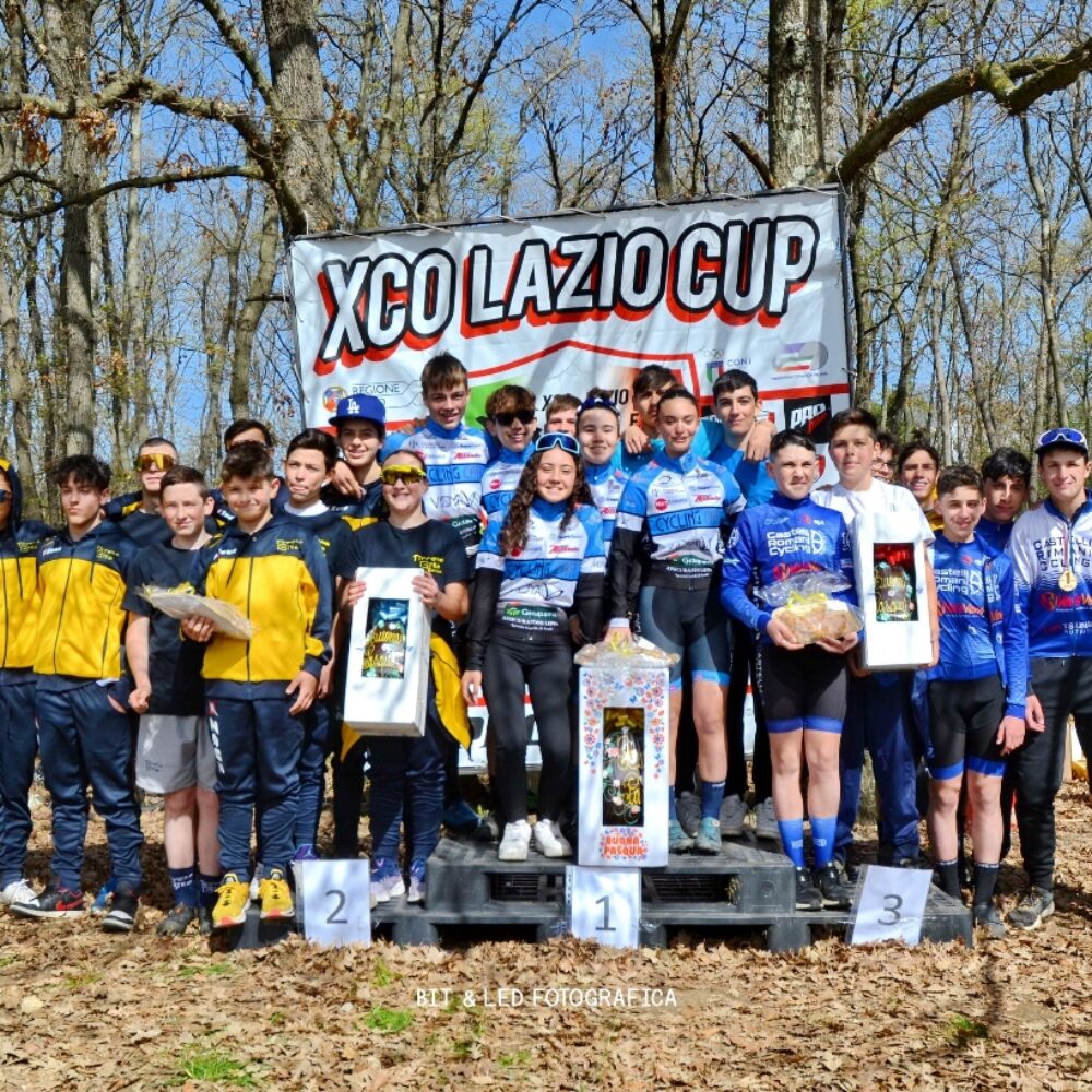 dc6096e0-c54f-450e-a52d-8f1efefea530