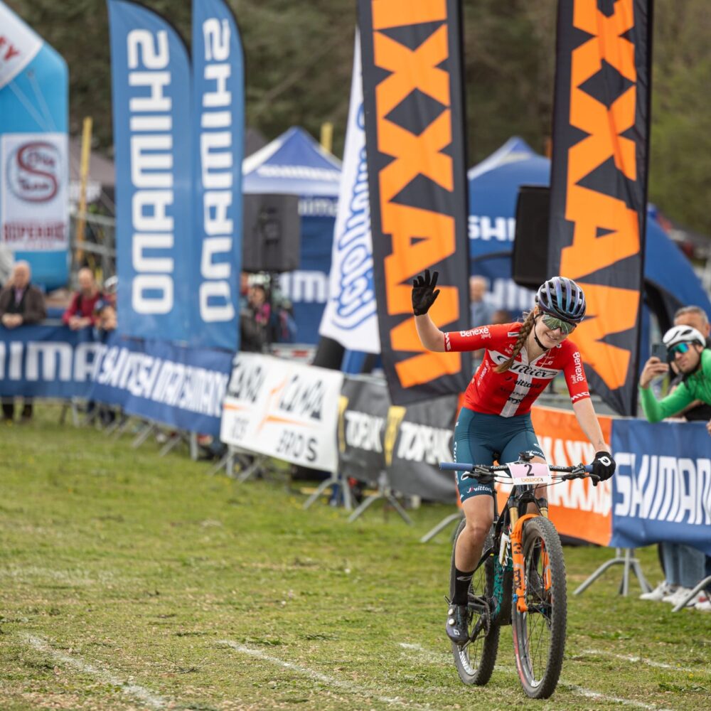 e39815f4-4477-4f6a-b201-cf7b402fce65