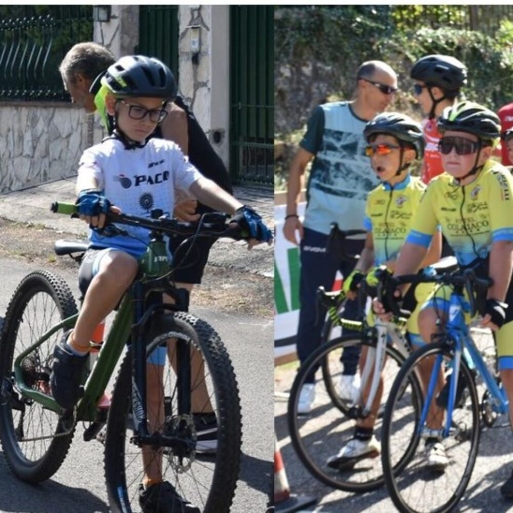 f77fb123-1b75-4953-8f59-dd951d31c3cf