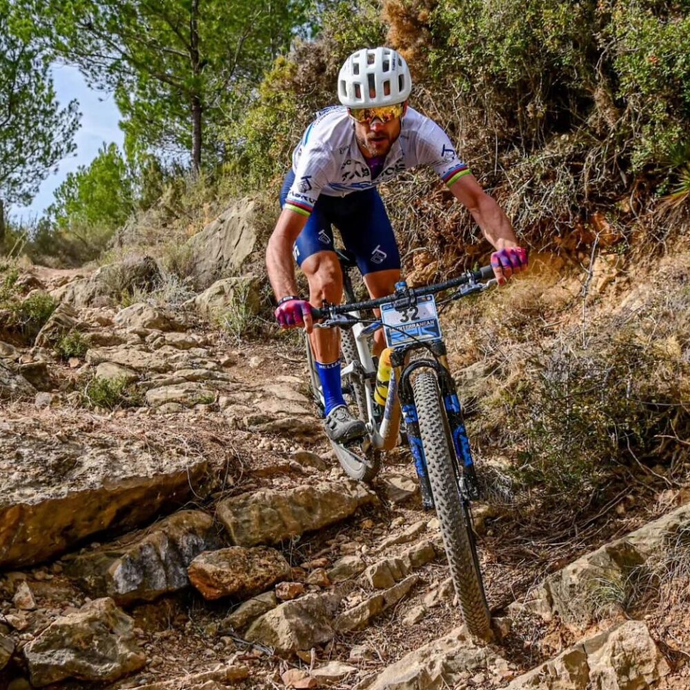 fa7c6dec-92a8-455e-b59c-0e087454163f