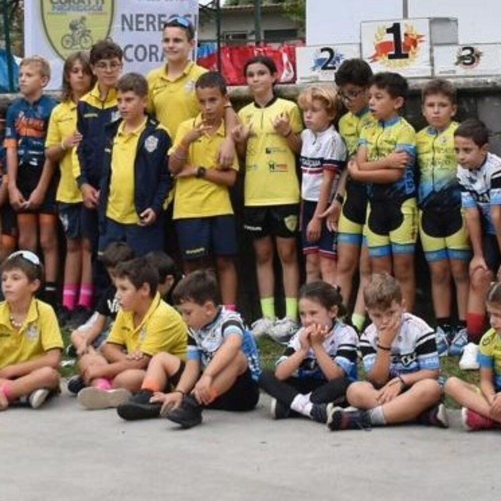 47fdb69b-df81-43af-a5dc-c3b1184640ee