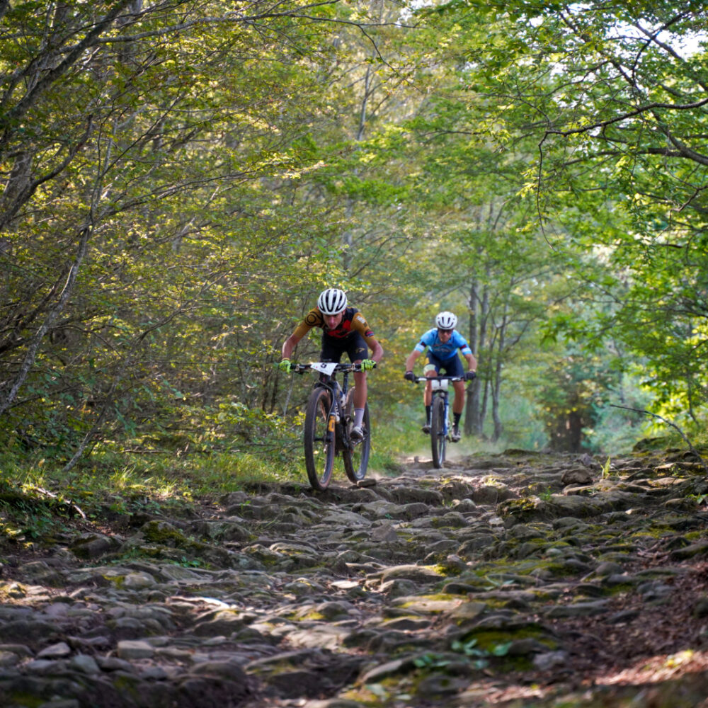 6b6a82bc-2351-4155-be59-33b331400125