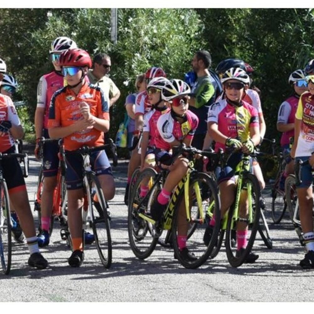 c1adb30c-60ae-40b1-9350-26d477ac7ca2