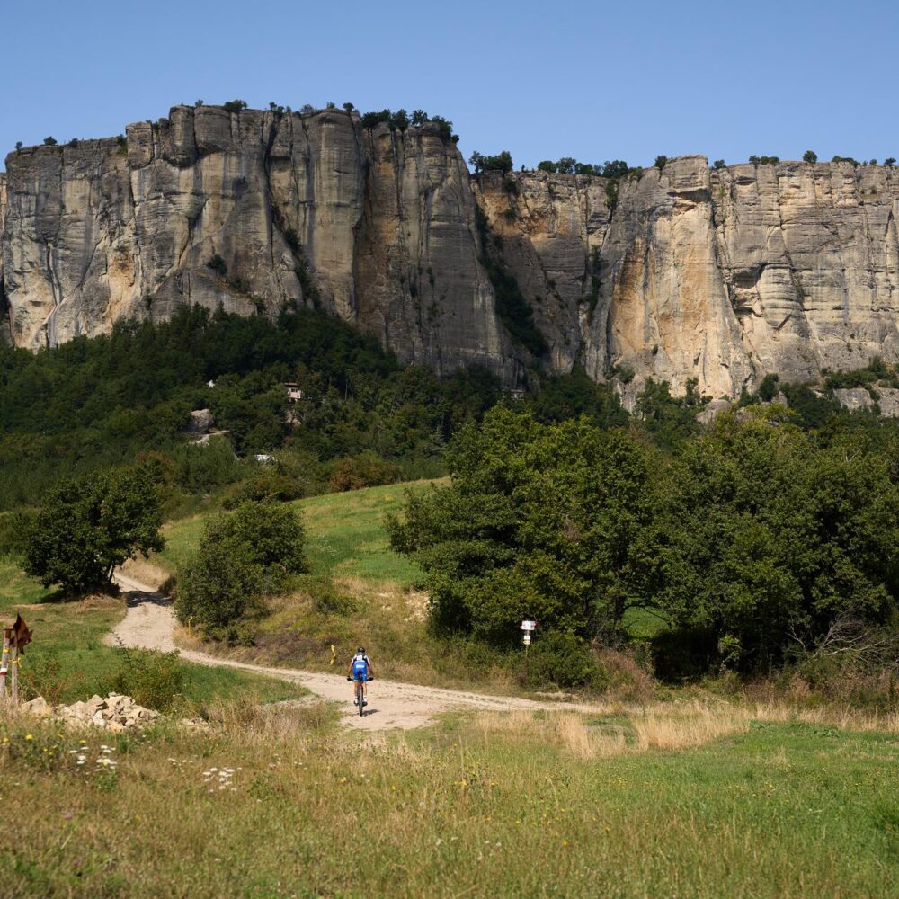 APP24_S6_MICHAEL_CHIARETTA__MCC9148 (1)