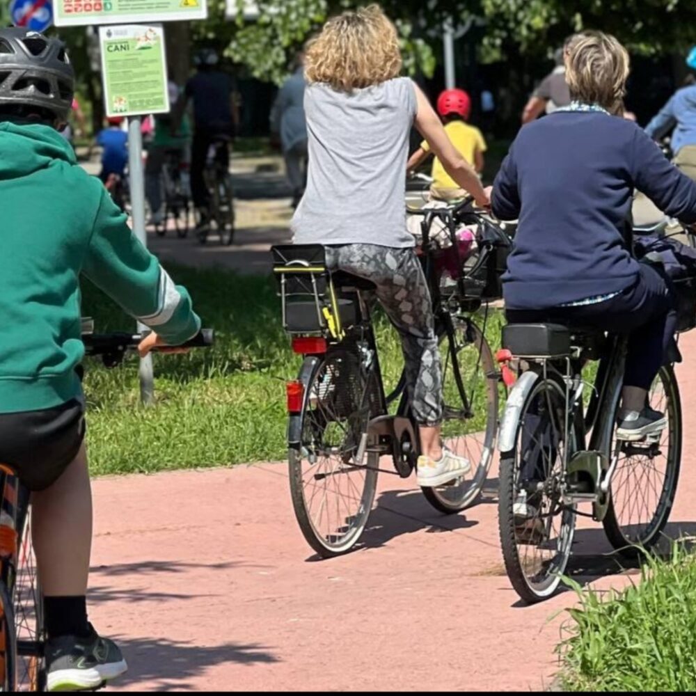 e6ea36df-1fee-4d81-95ae-ac97014d5026-1_all_100283 e6ea36df-1fee-4d81-95ae-ac97014d5026-1_all_100283